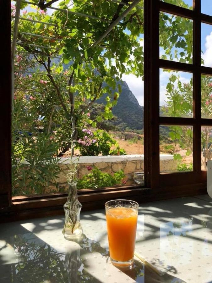 Kathys Island Retreat Apart otel Adia Dış mekan fotoğraf